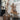 Bundel - Hazenstaart - Gedroogd - Beige - 10x4x75cm