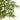 Bamboe - In Pot - Kunstplant - Groen - 40x150cm