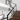 Plafondlamp - Bollique - 2730ZW - Vide Lamp - Zwart - 5 Lichts