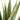 Agave - Kunstplant - In Pot - Groen/ Geel - 100x135cm