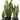 Sansevieria - Kunstplant - In Pot - Groen - L
