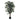 Kunstplant - Ficus - In Pot - Groen - 85x150cm