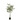 Olijfboom - In Pot - Kunstplant - Groen - S