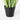 Dogtail Grass Artificial Plant - H53 x Ø30 cm - Green - Richtjehuisin.nl