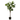 Vioolbladplant - Plastiek - Groen - 129cm - Richtjehuisin.nl
